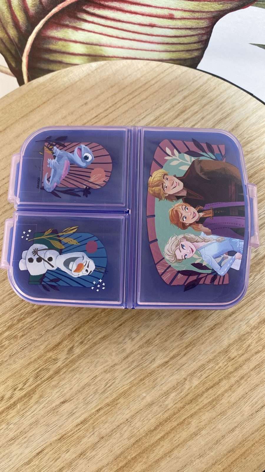 Fiambrera Escolar de 3 Compartimentos (Disney) - Imagen 19